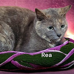 Photo of Rea