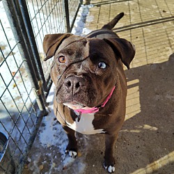 Photo of Xena