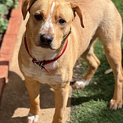 Photo of BJ