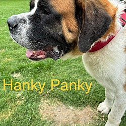 Thumbnail photo of Hanky Panky #2