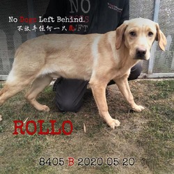 Thumbnail photo of Rollo 8405 #4