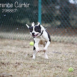 Thumbnail photo of Clarence Carter #4