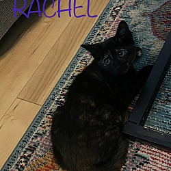Photo of Rachel