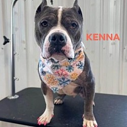 Photo of Kenna-Sponsored