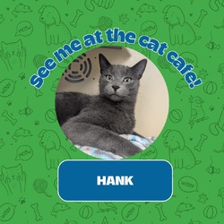 Thumbnail photo of Hank #1