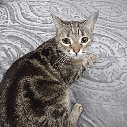 Photo of Sweety