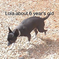 Thumbnail photo of Lolita #1