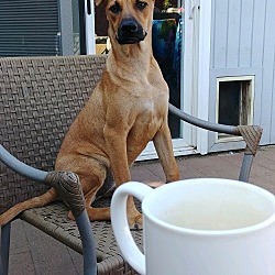 Photo of Winnie
