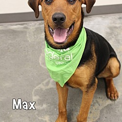 Thumbnail photo of Max #3