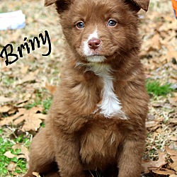Thumbnail photo of Briny~adopted! #2