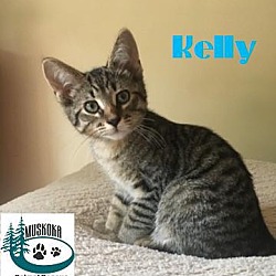 Thumbnail photo of Kelly - Adopted - Dec 2017 #3
