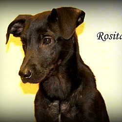 Thumbnail photo of Rosita ~ meet me! #3