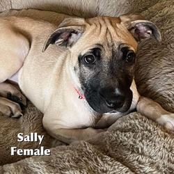 Thumbnail photo of Sally #1