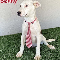 Photo of Benny