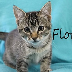 Thumbnail photo of Flora #4