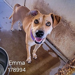 Photo of Emma