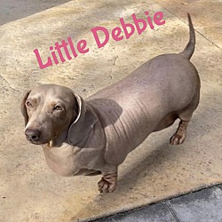 Thumbnail photo of LITTLE DEBBIE #2