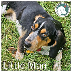 Thumbnail photo of LITTLE MAN #1