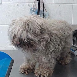 Photo of URGENT on 5/28 SAN BERNARDINO