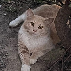 Photo of Jay