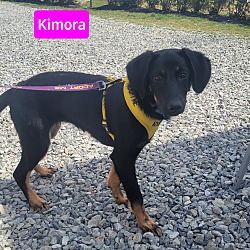 Thumbnail photo of Kimora #2