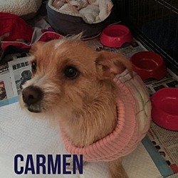 Thumbnail photo of CARMEN #2