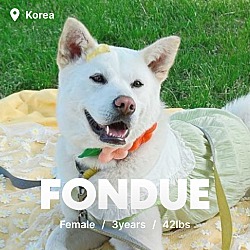 Thumbnail photo of Fondue #1