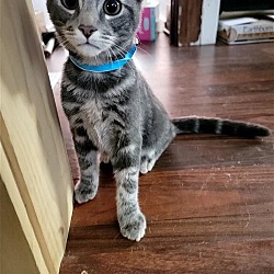 Thumbnail photo of Eddie #4