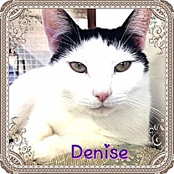 Thumbnail photo of Denise #1