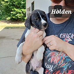 Photo of Helen's Holden