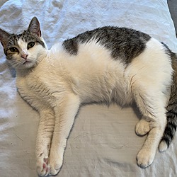 Thumbnail photo of Sweet Pea #2