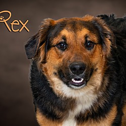 Photo of Rex