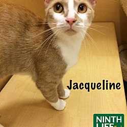 Thumbnail photo of Jacqueline #2