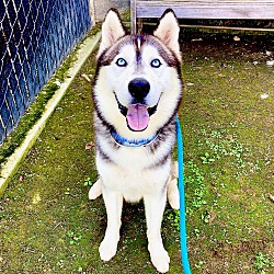 Photo of Topaz