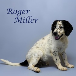 Thumbnail photo of Roger Miller D24-137 #1