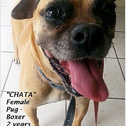 Thumbnail photo of Chata #2