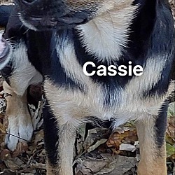 Photo of Cassie