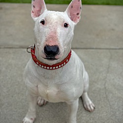 Photo of Cleo