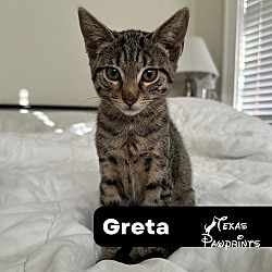 Thumbnail photo of Greta #1