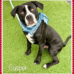 Photo of CASPER