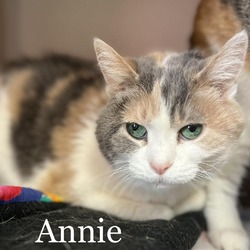 Thumbnail photo of Annie 240097 #3