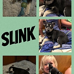 Photo of Slink