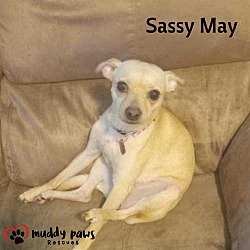 Thumbnail photo of Sassy May #4