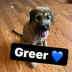 Photo of Greer