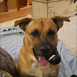 Photo of Birdie