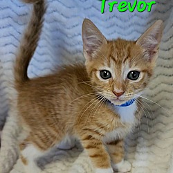 Thumbnail photo of Trevor #3