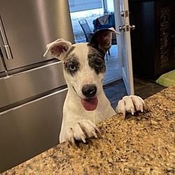 Photo of Gavin