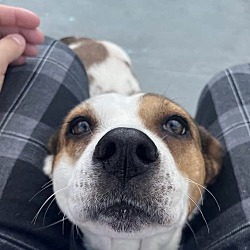 Photo of Maudie