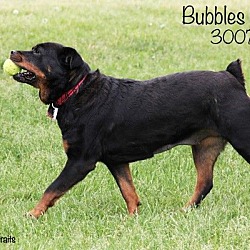 Thumbnail photo of Bubbles Lareau #2