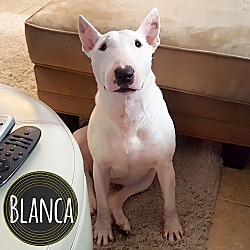 Photo of Blanca